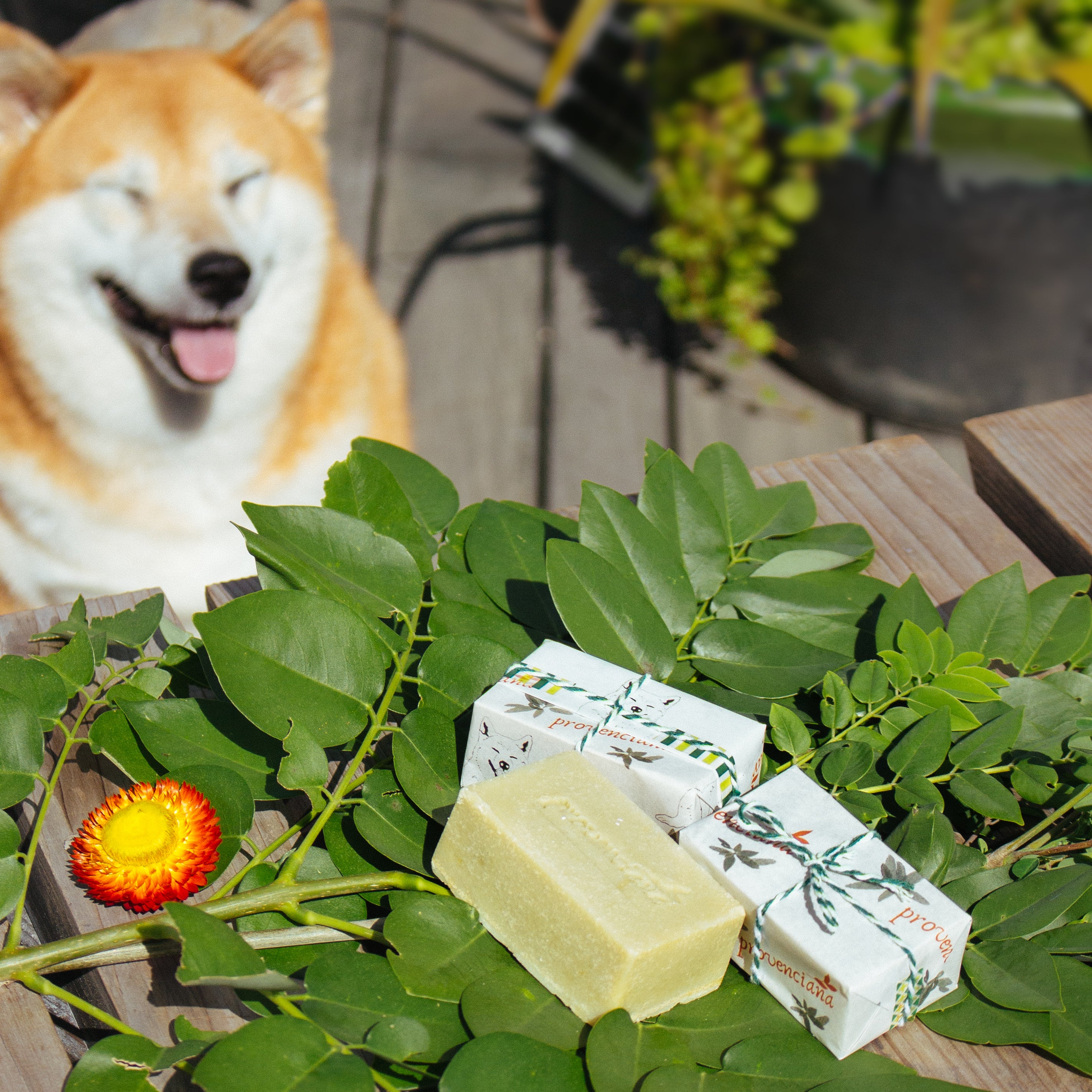 Artisanal packaging of Provenciana Dymka Pet Soap, a handmade botanical shampoo bar for pets.