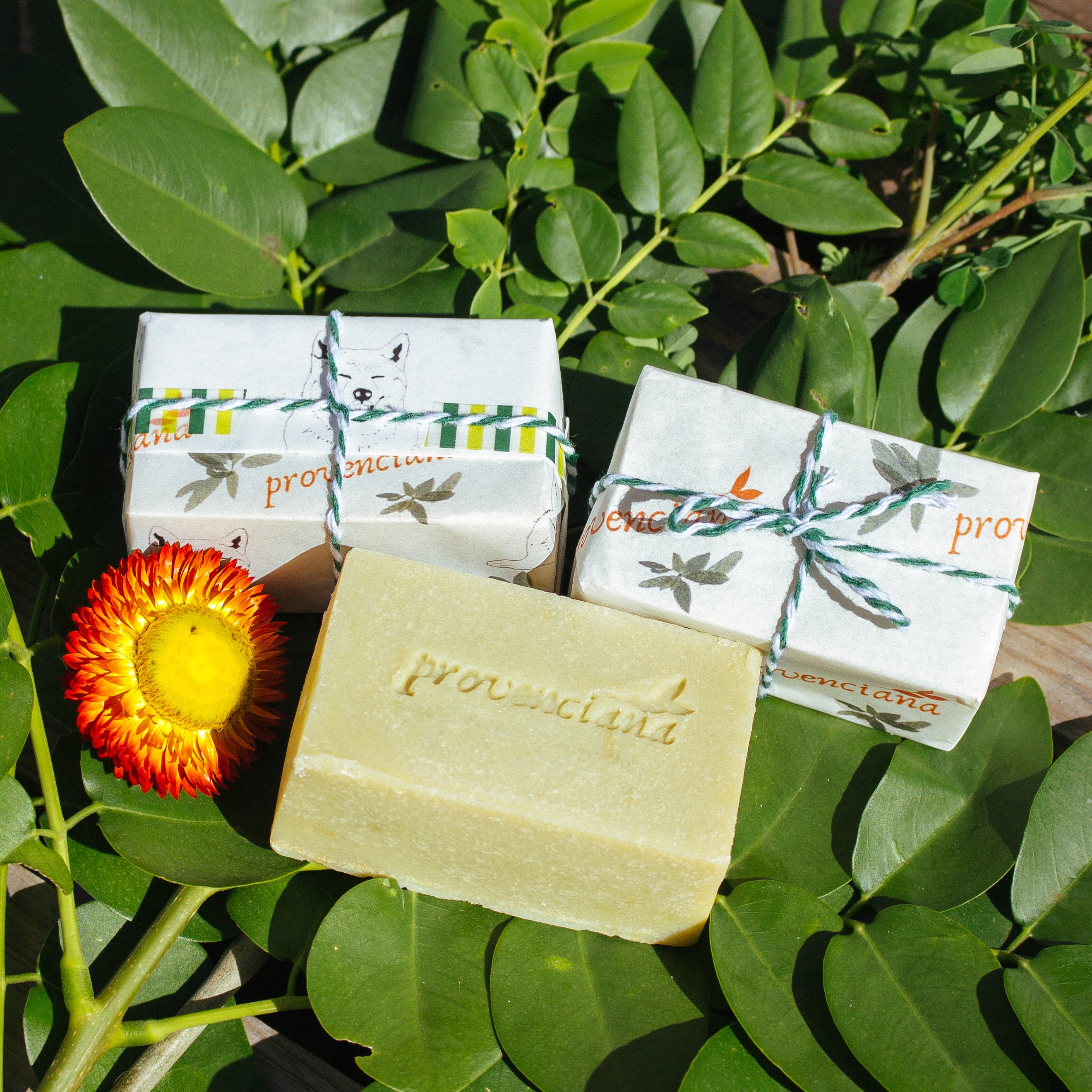 Dymka Pet Soap - Provenciana