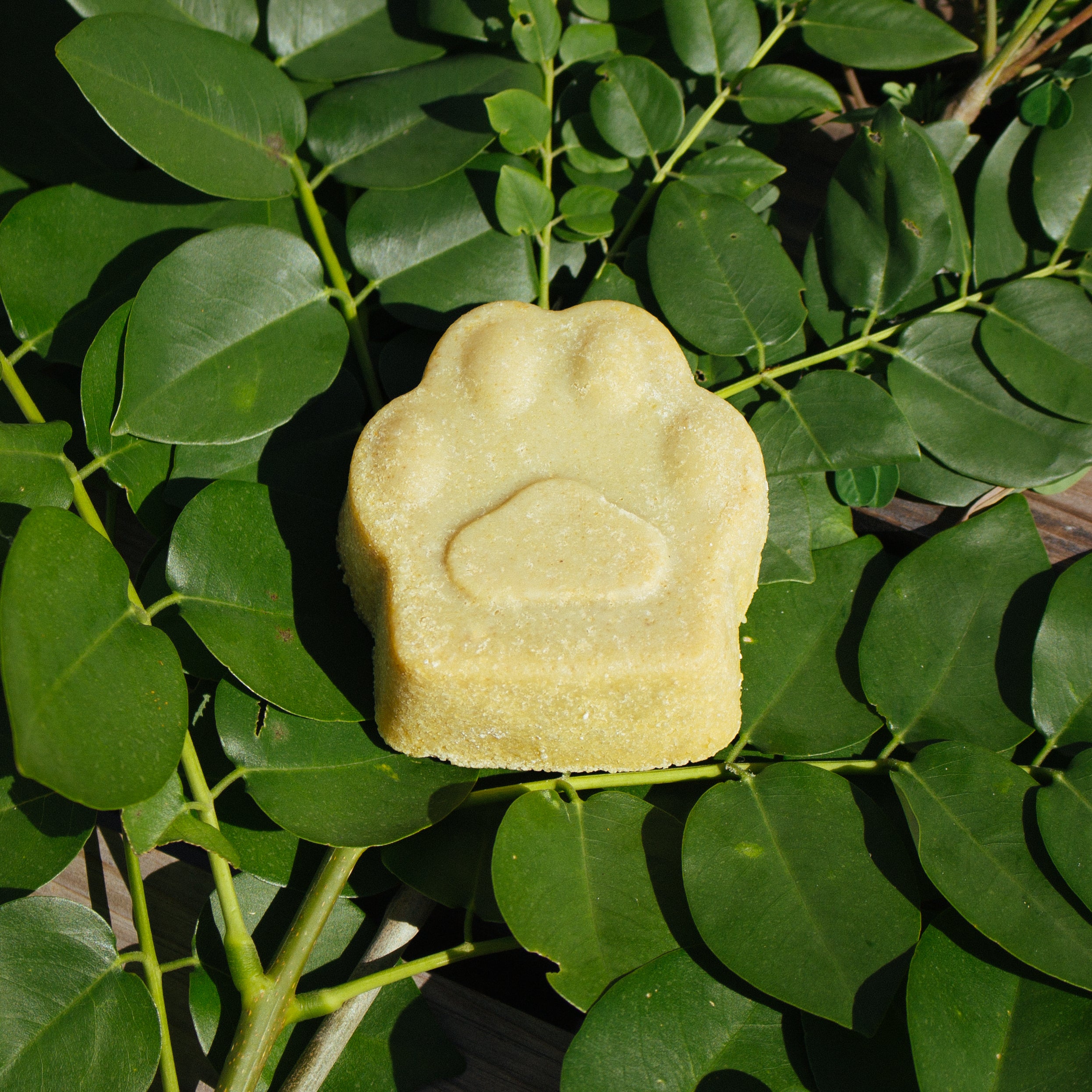 Dymka Pet Soap - Default Title - Provenciana